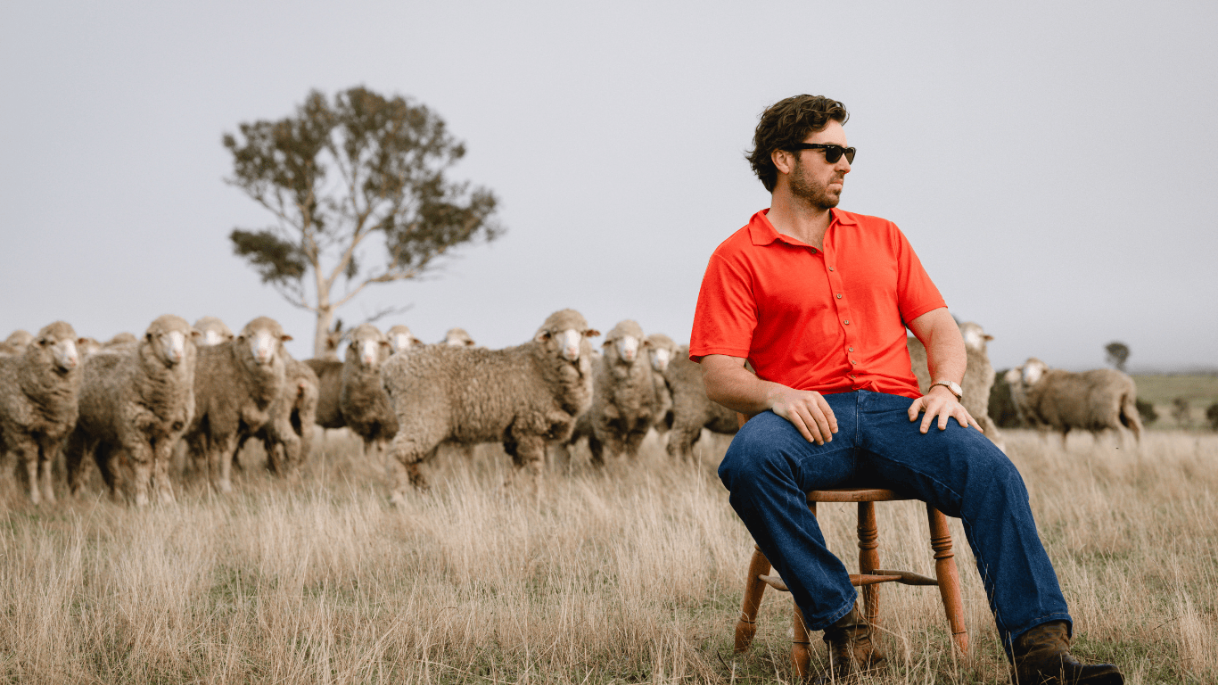 Sir W. founder wearing Bruce with Merino sheep