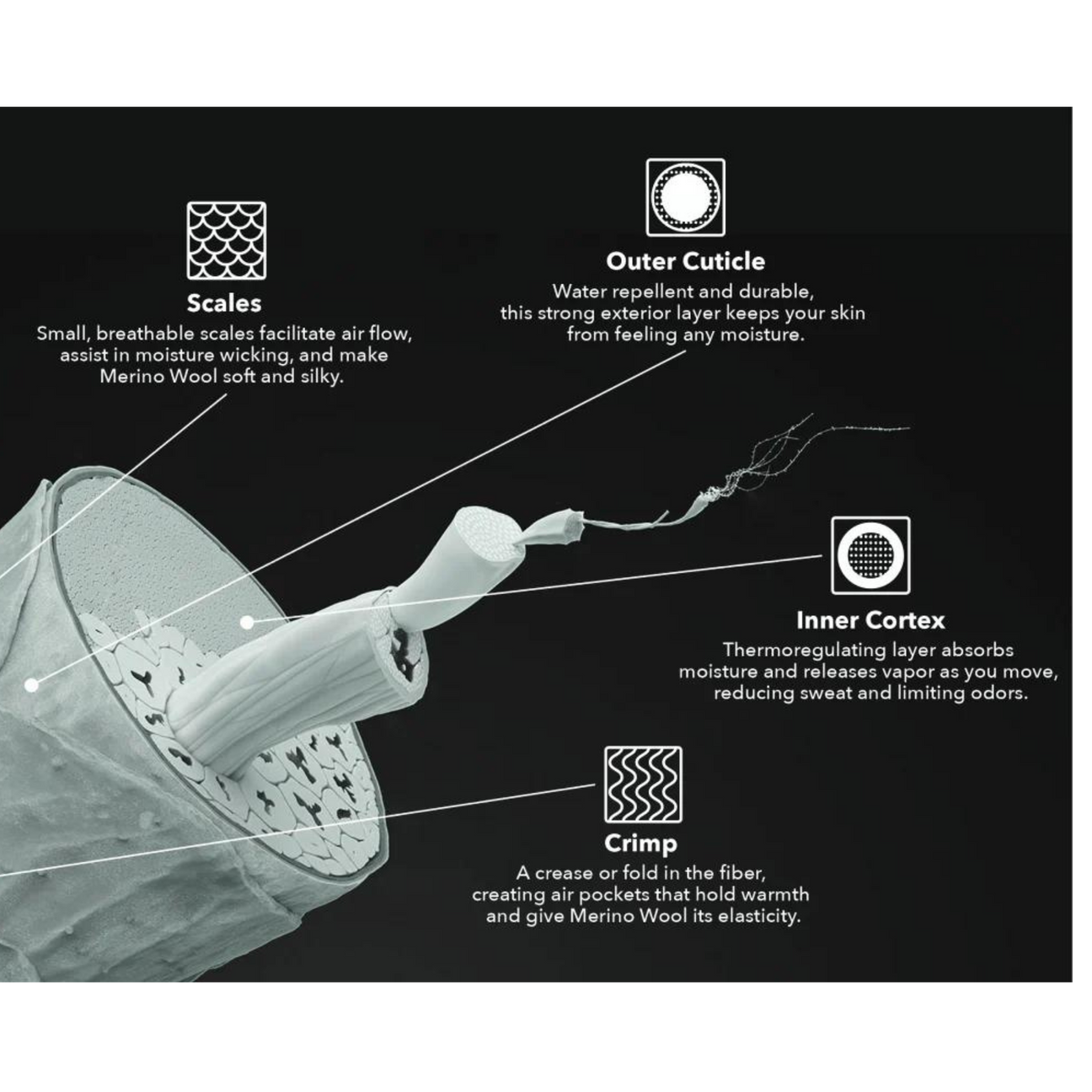 Unlocking the Science of Merino Wool Fibers