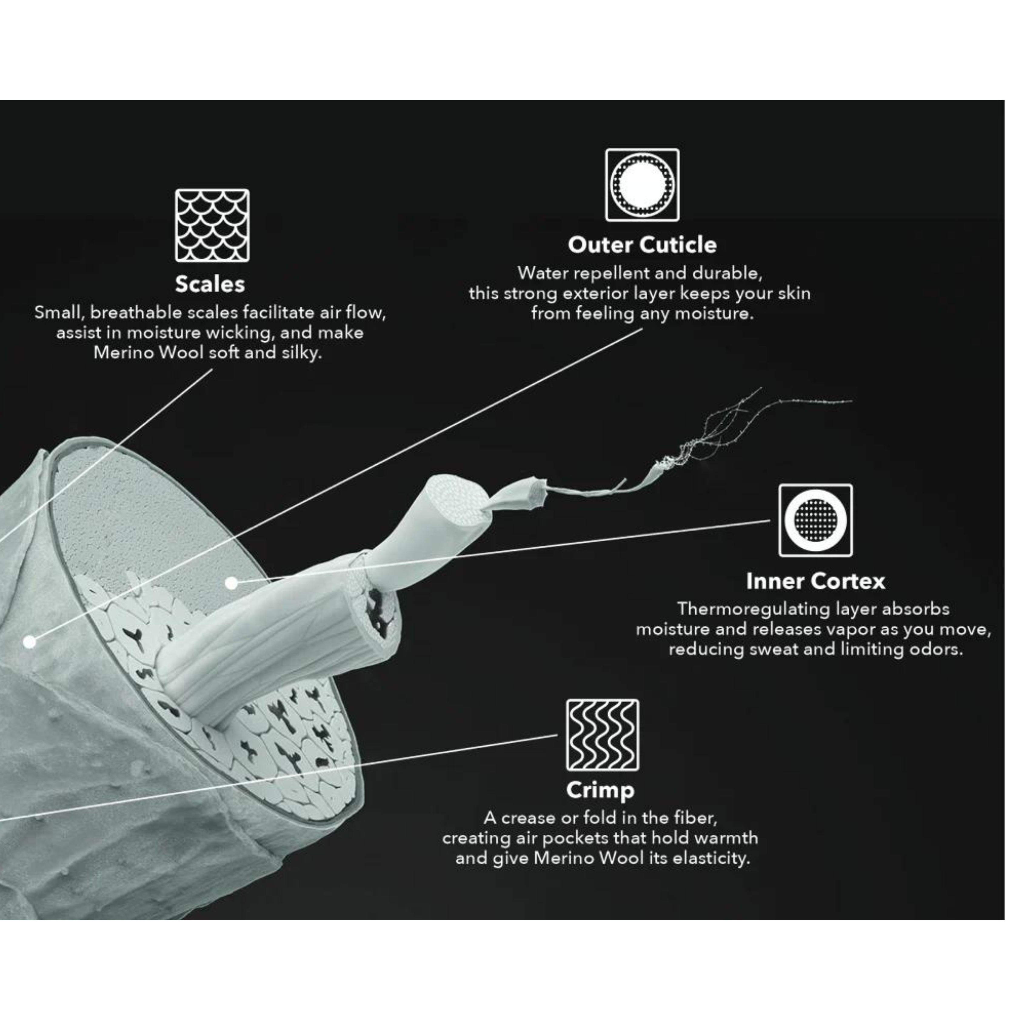 Unlocking the Science of Merino Wool Fibers