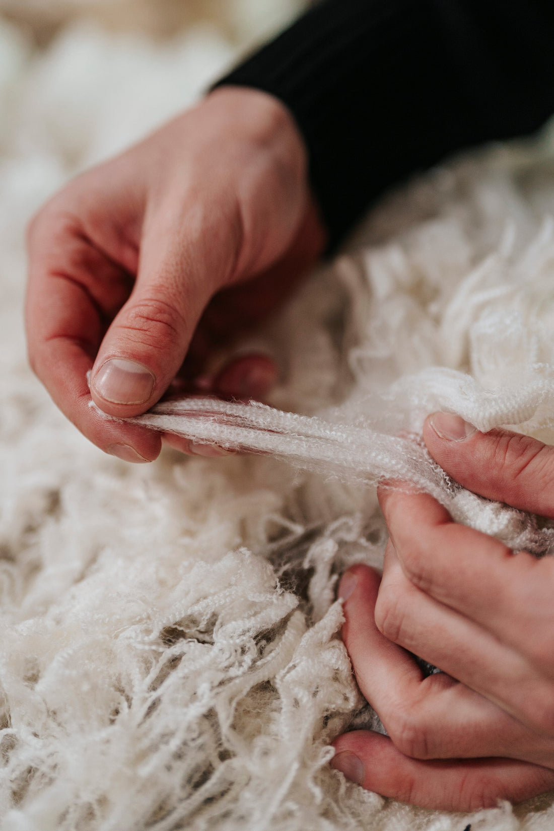 Merino Wool vs Polyester: The Complete Breakdown