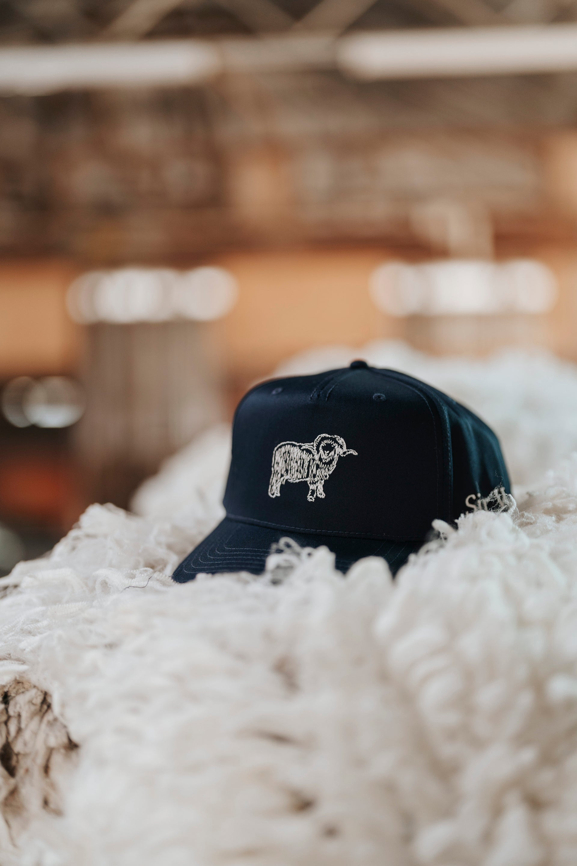 Sir W. Ram Cap- Navy