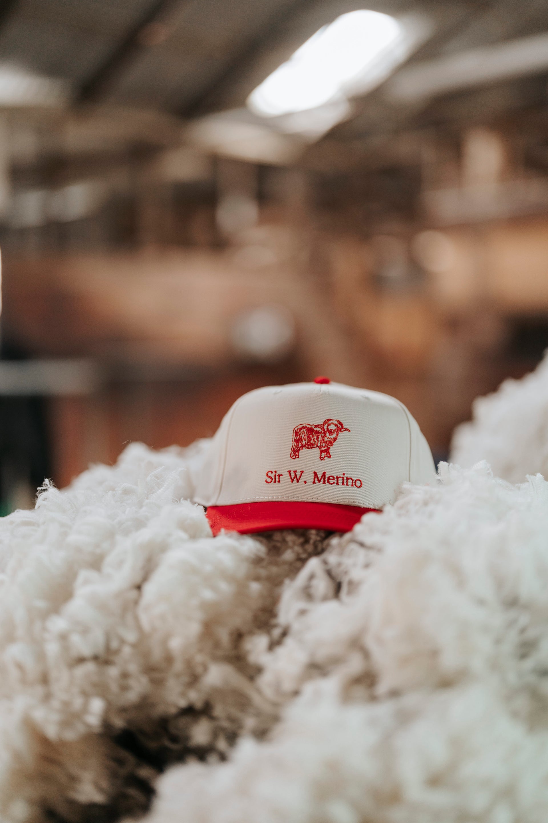 Sir W. Ram Cap- Red & Natural