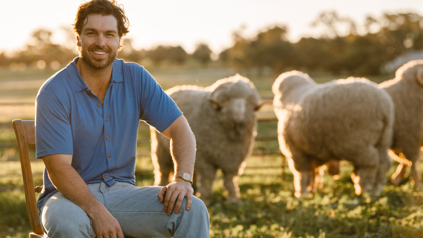 Man sitting on a chair in a field with sheep